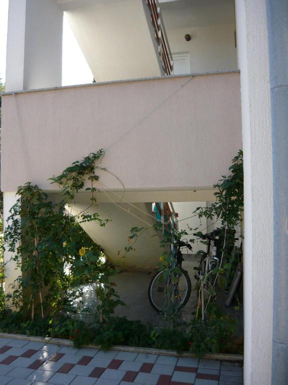 Apartments Dokovic Barbat na Rabu 외부 사진